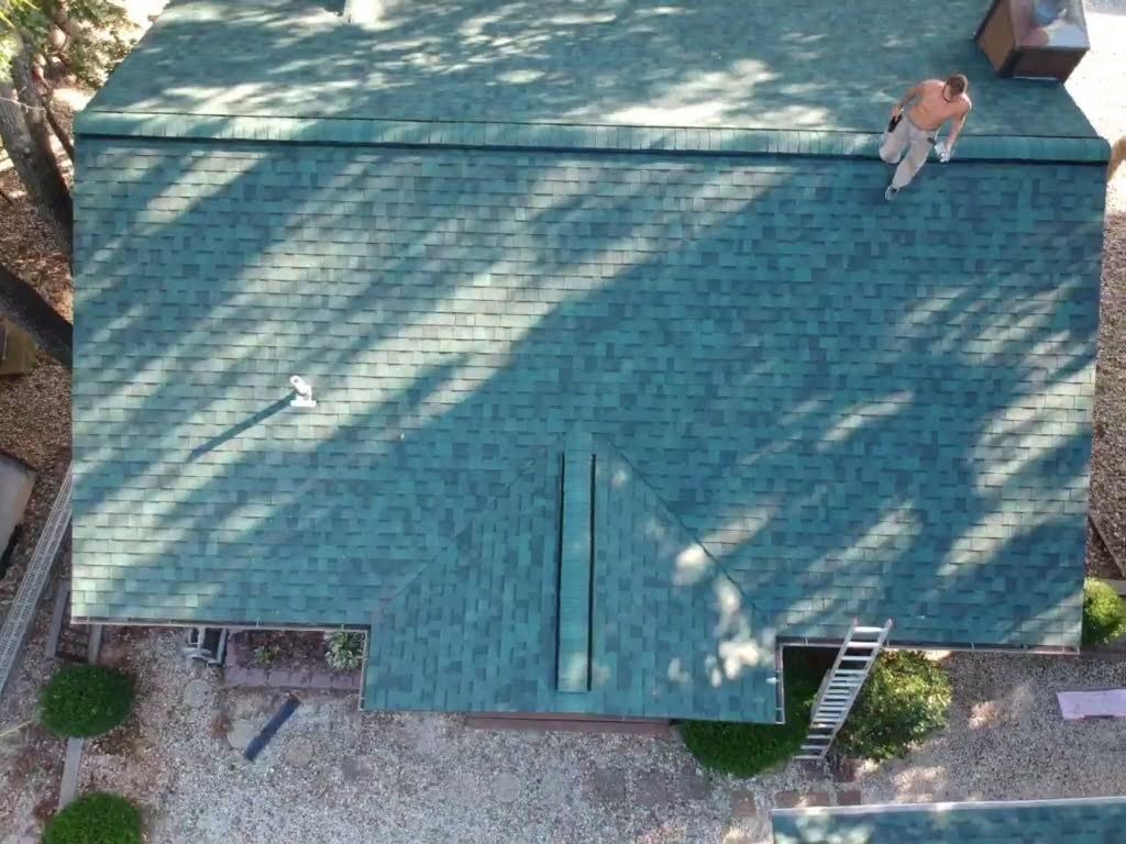 Person on a green shingled roof, next to a chimney. A ladder leans against the side.