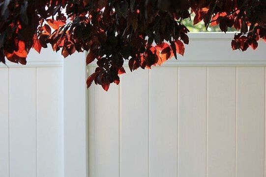 White vinyl privacy fence with a tree in the foreground and a A white vinyl picket fence in front of homes in the background.