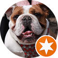 a brown and white bulldog wearing a tie is in a circle with an orange star for google reviews profile