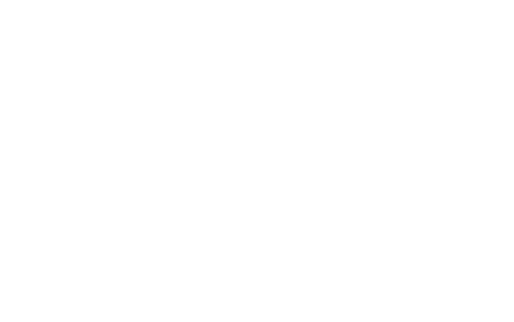 apex logo