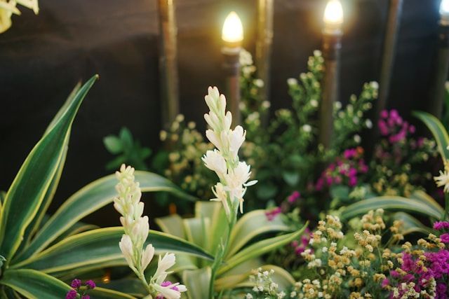 funeral homes Mansfield, TX
