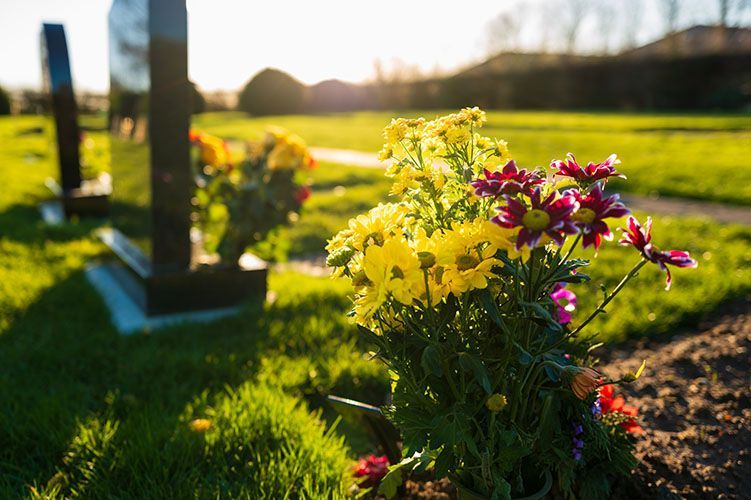 Flowers on grave in cemetery, with headstones in the background. Sunny day with green grass.