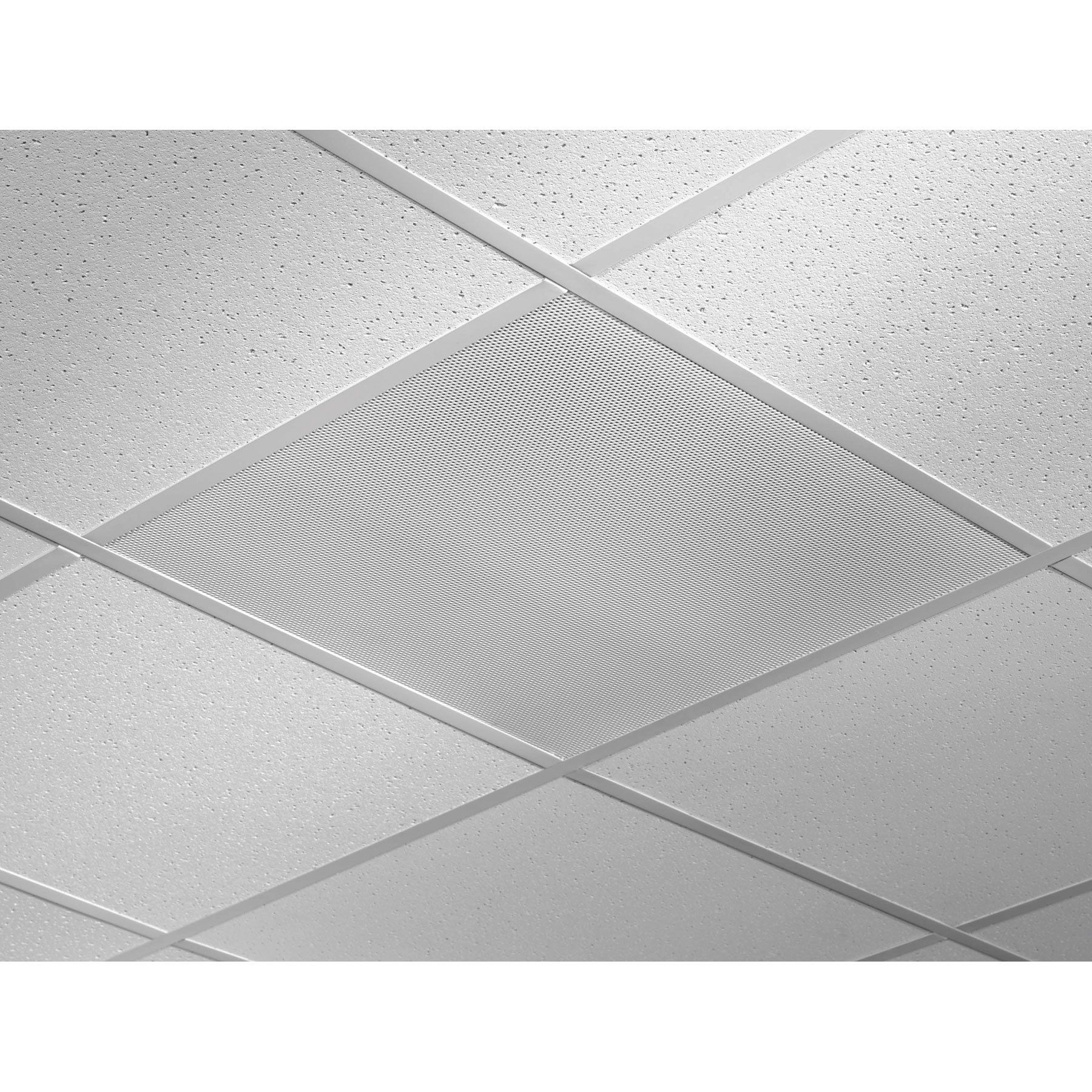 Business Services - Commercial Audio & Public Address Systems - Ceiling Speakers