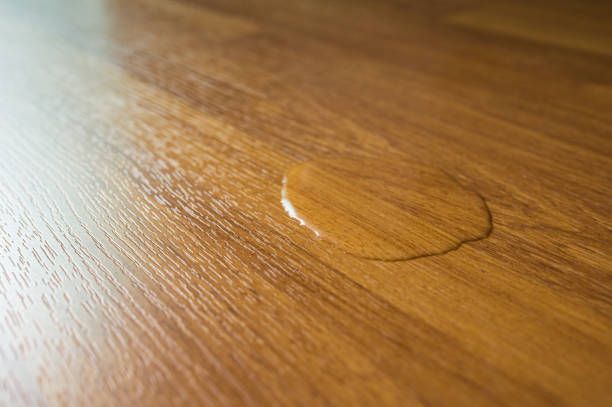 A drop of water is on a wooden floor.