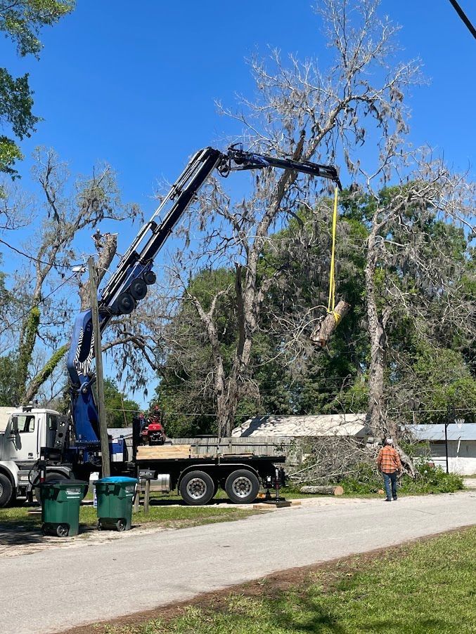 A crane is lifting a tree branch from a truck.