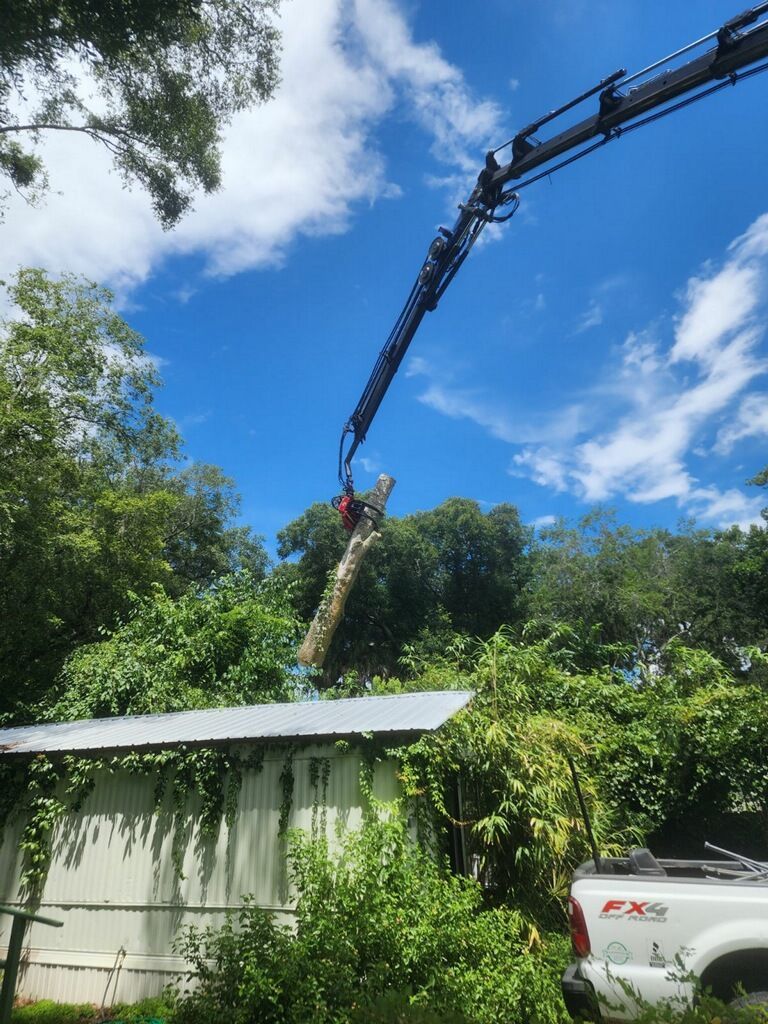 A crane is lifting a tree branch over a house.