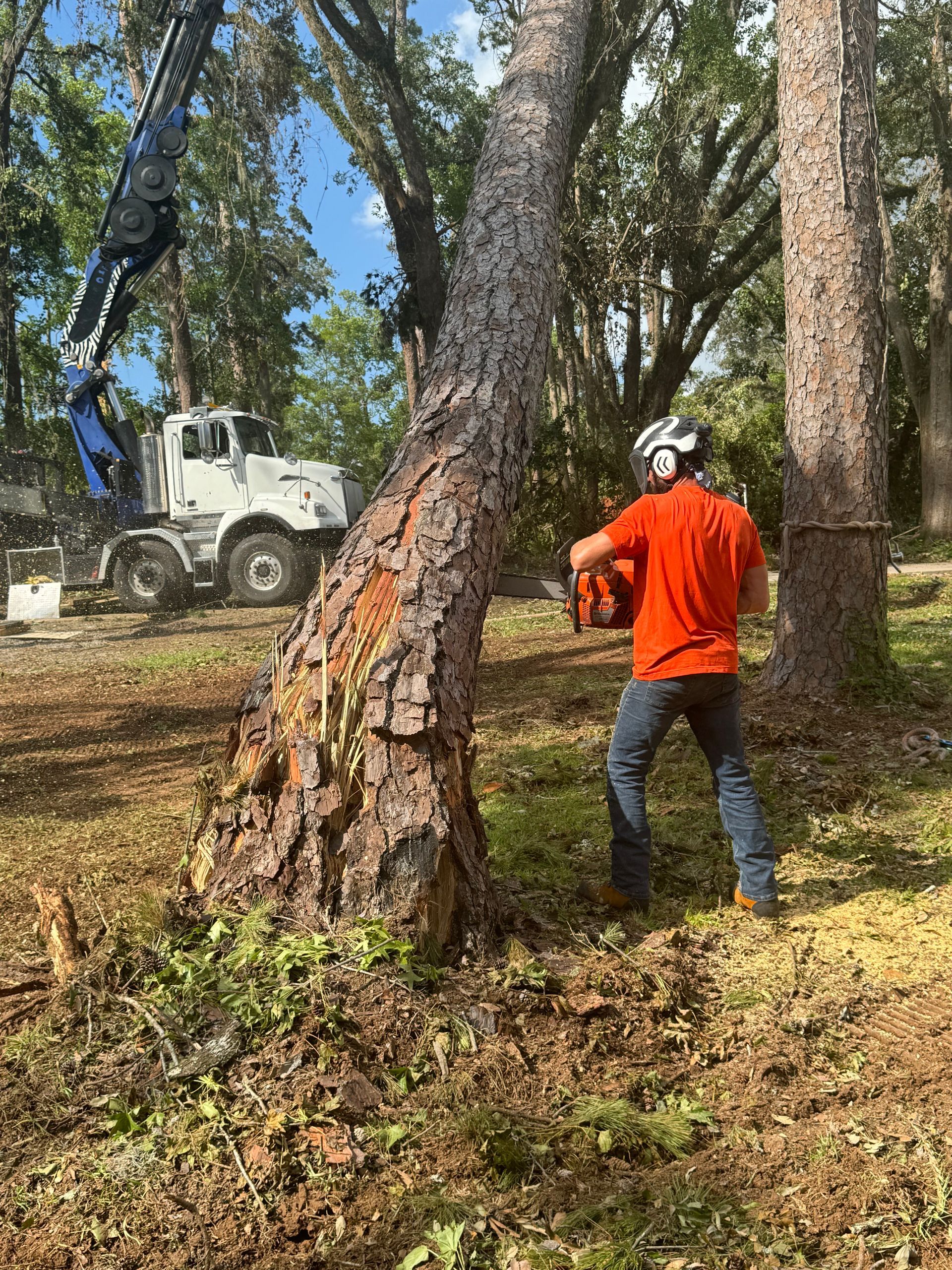 A man is standing on top of a tree that has fallen on a house.