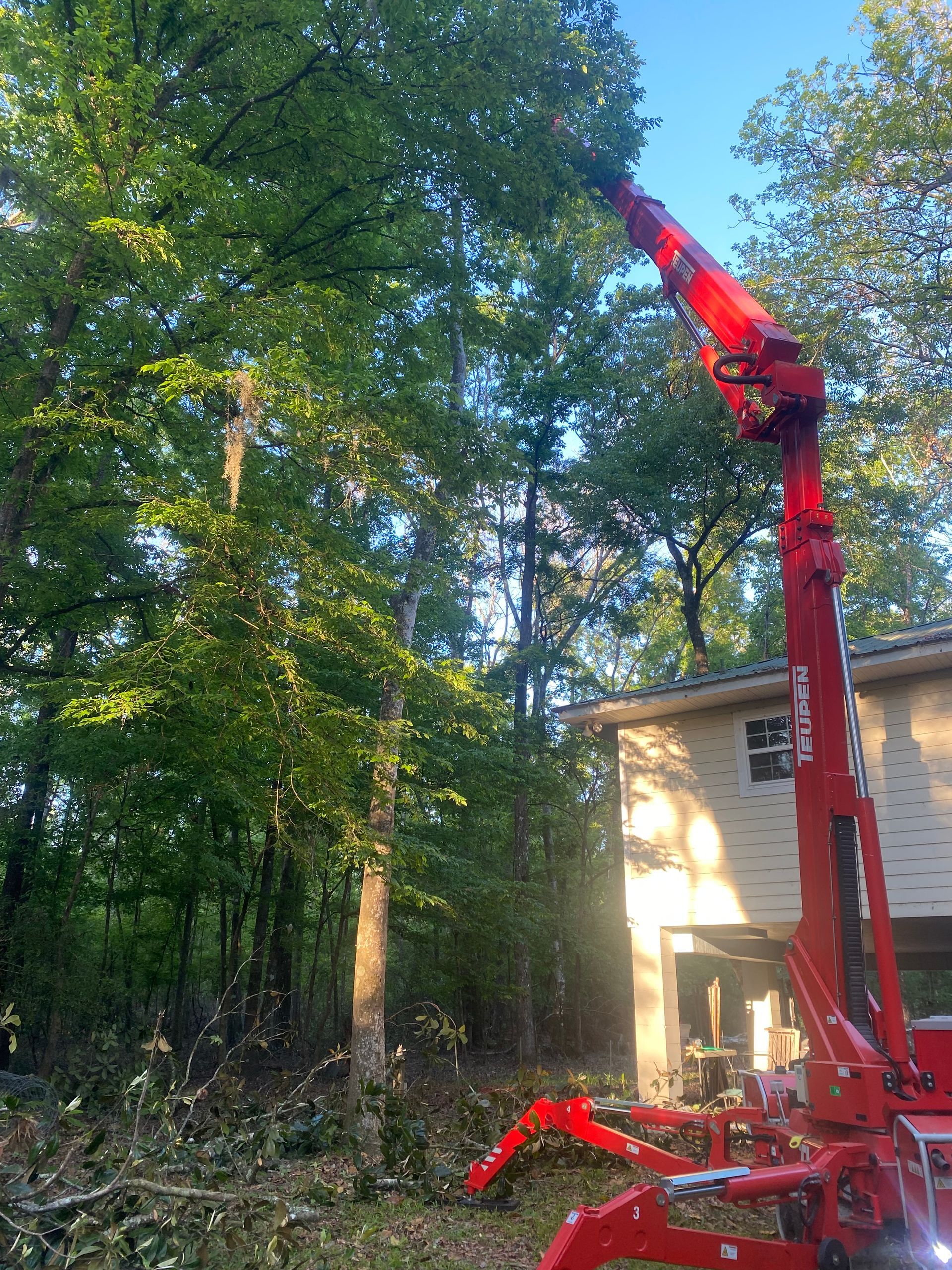 A red crane is cutting a tree in front of a house.