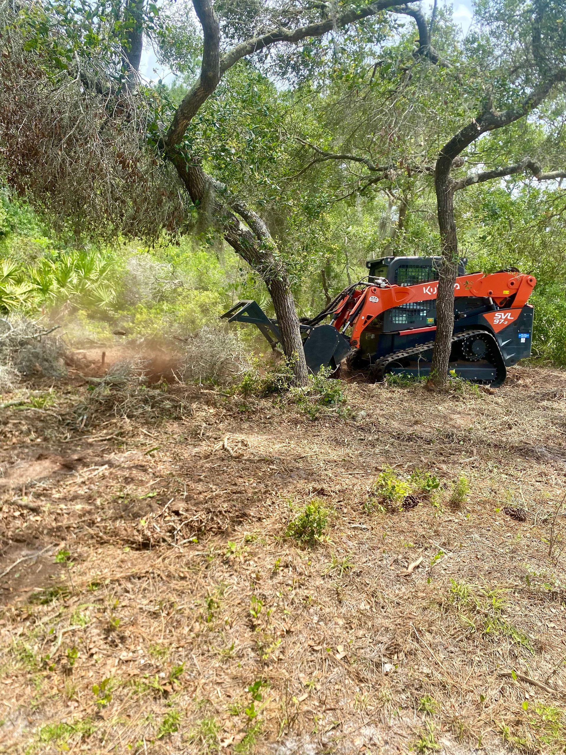 A dirt field with trees in the background and a pile of logs in the middle.