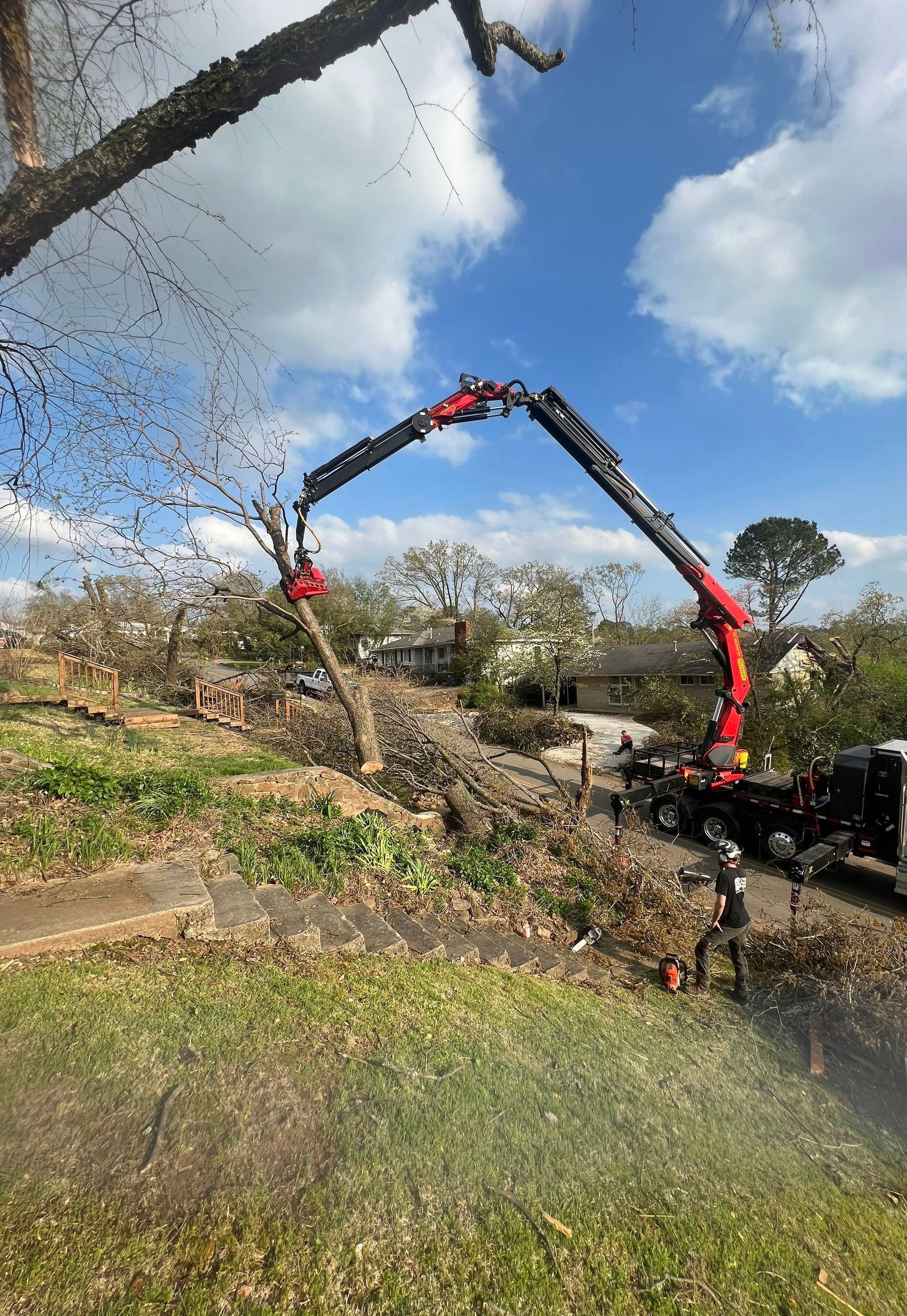 A crane is lifting a tree branch from the roof of a building