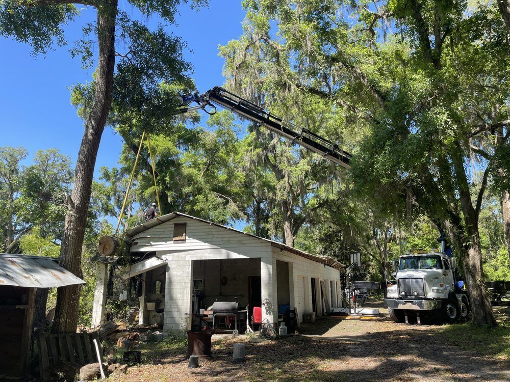 A crane is lifting a tree in front of a house.