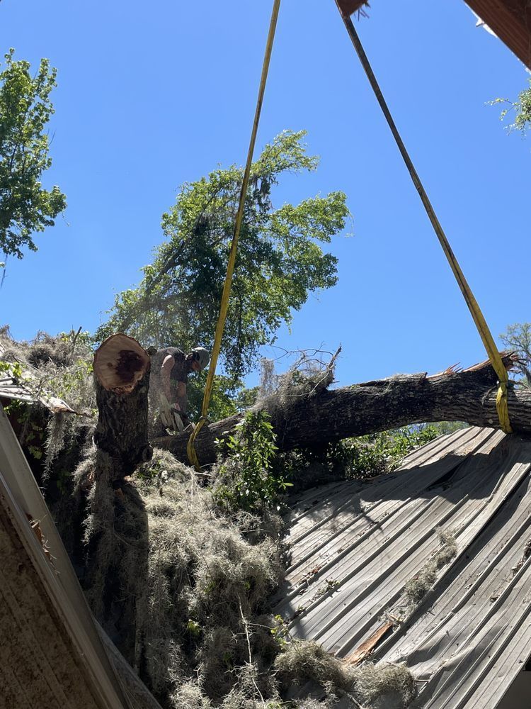A tree is being removed from the roof of a building.