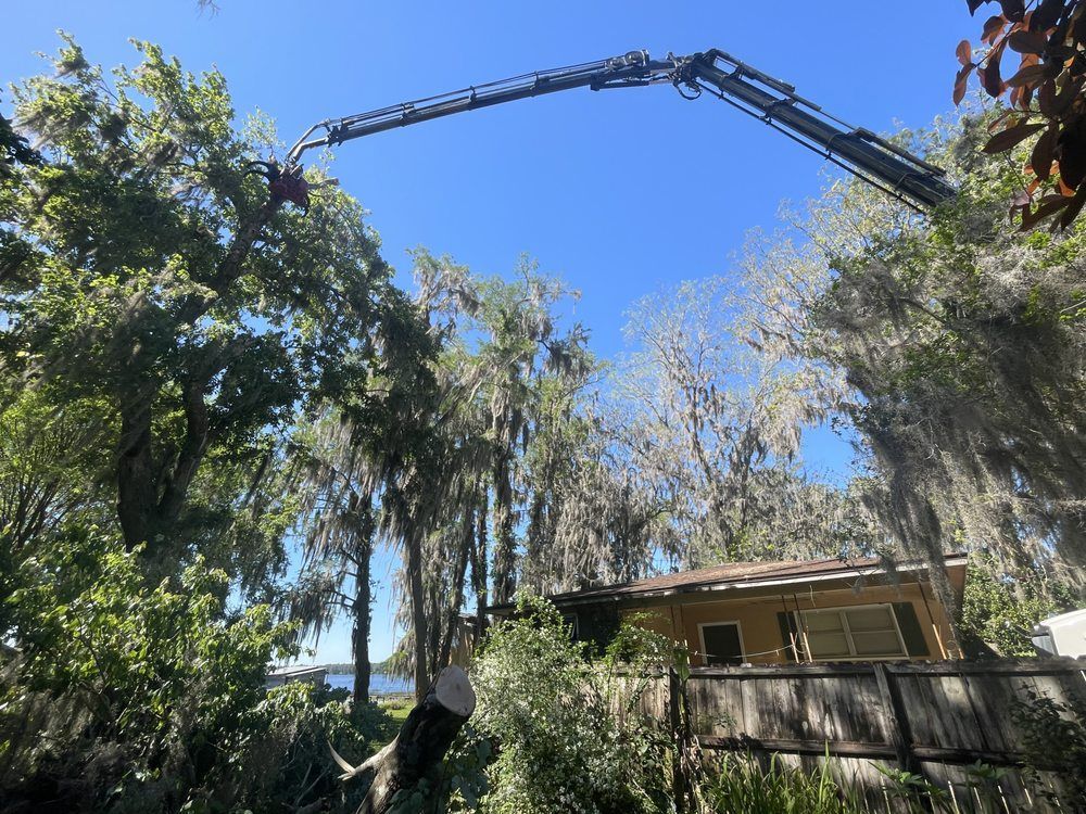 A crane is cutting a tree in front of a house.