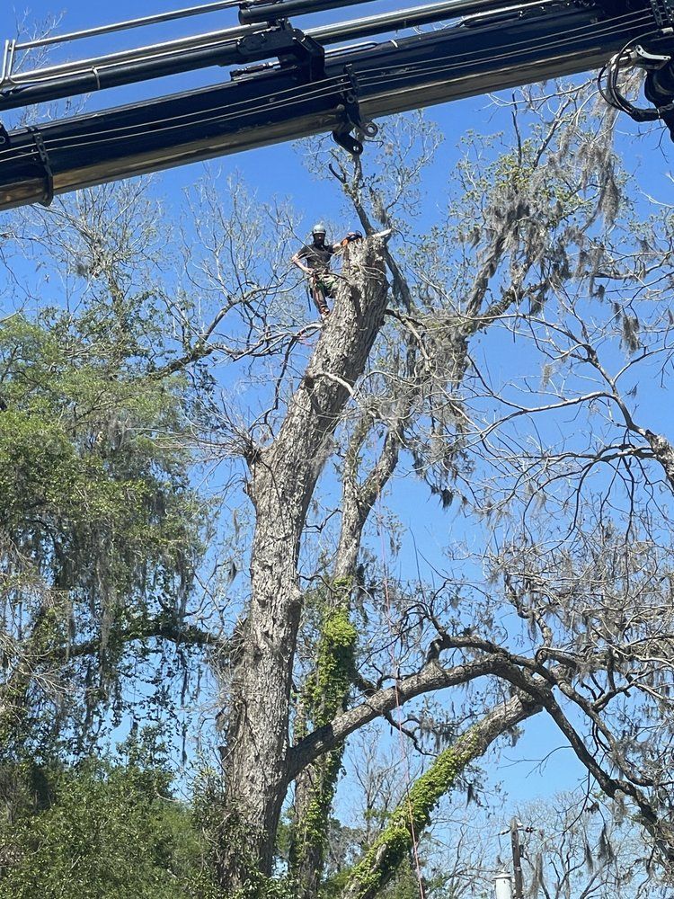 A man is cutting a tree with a crane.