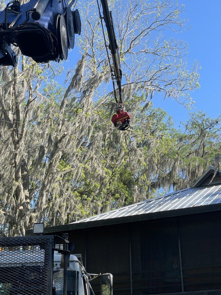 A crane is lifting a tree from the roof of a house.
