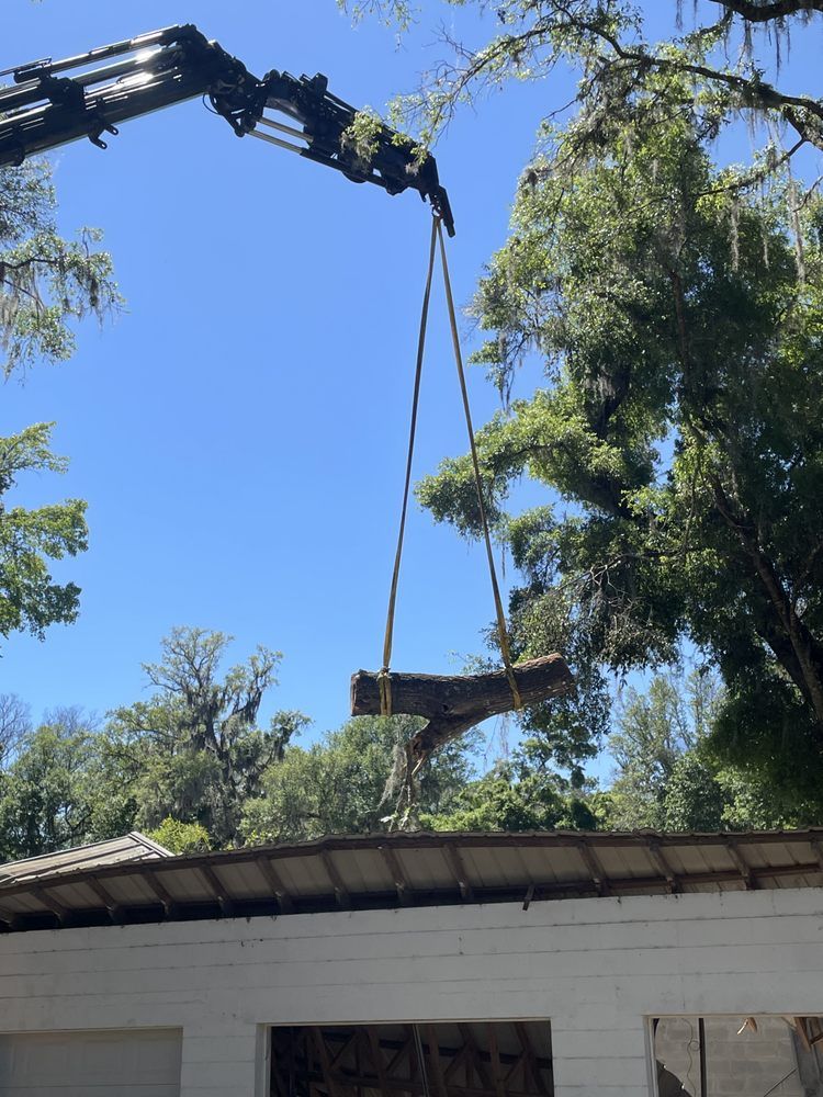 A large piece of wood is being lifted by a crane