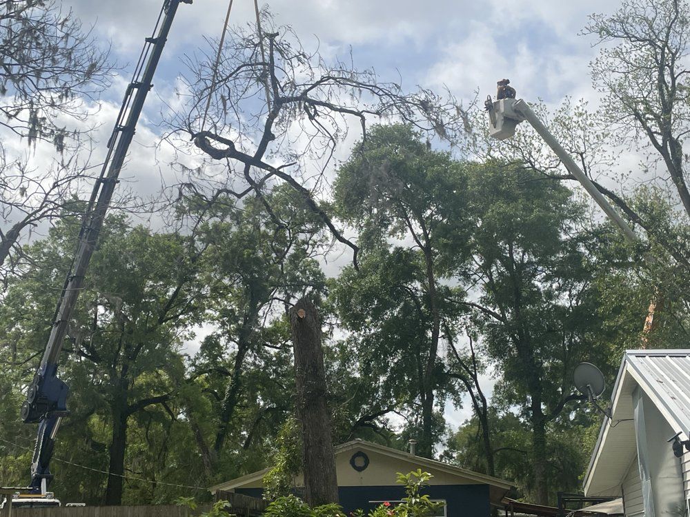 A crane is cutting a tree in front of a house.