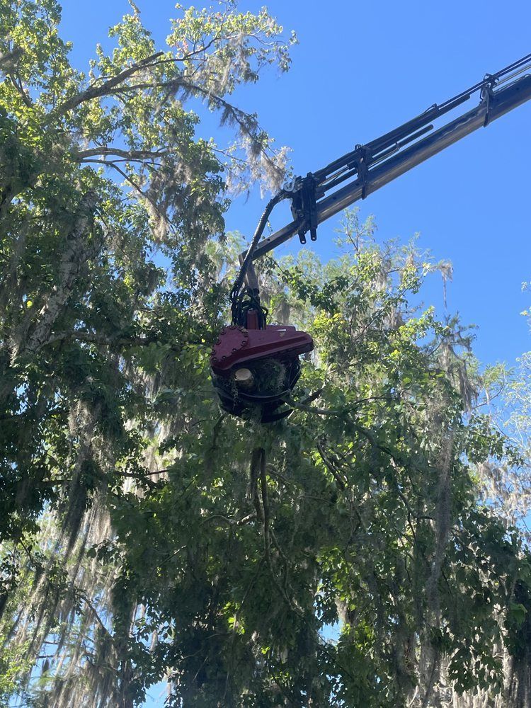 A crane is cutting a tree with a machine.