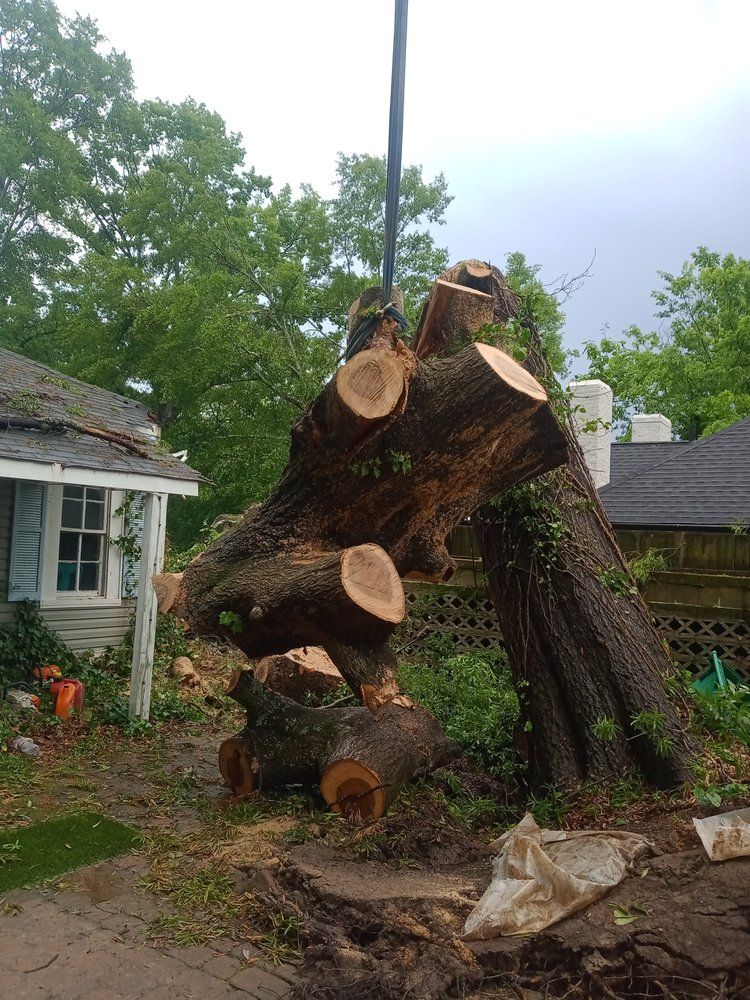 A pile of logs sitting on top of a tree stump in front of a house.