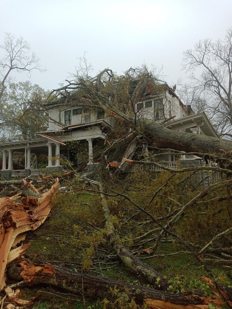 A large tree has fallen on top of a house.