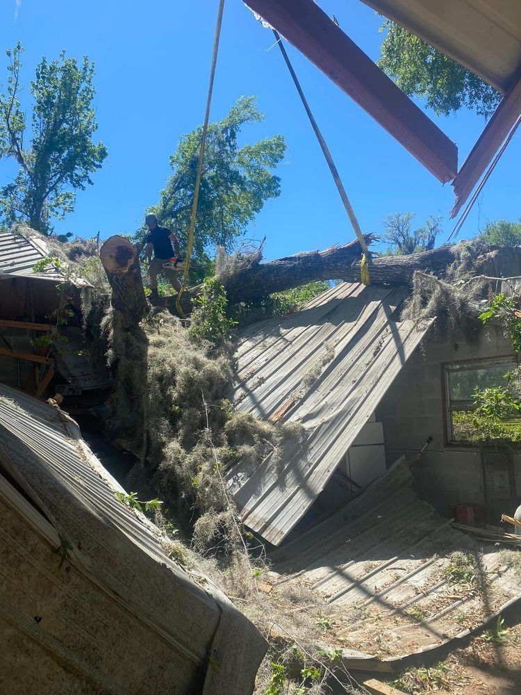 A tree is being removed from the roof of a house
