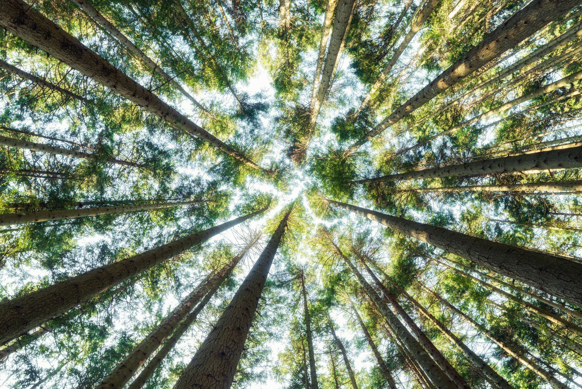 lavorazioni agricole e sistemazioni terreni