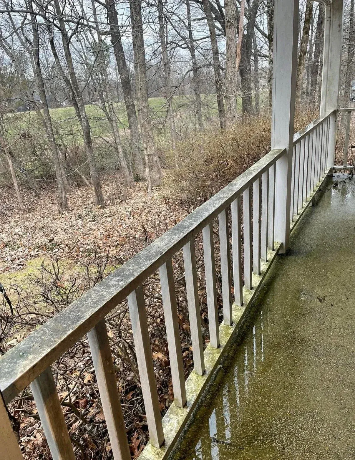 A wooden porch railing overlooking a wooded area covered in fallen leaves under an overcast sky.