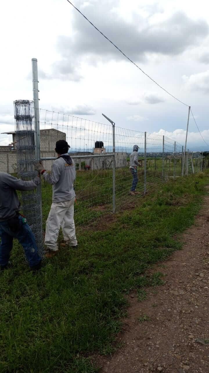 Un grupo de personas está trabajando en una valla de alambre de púas.