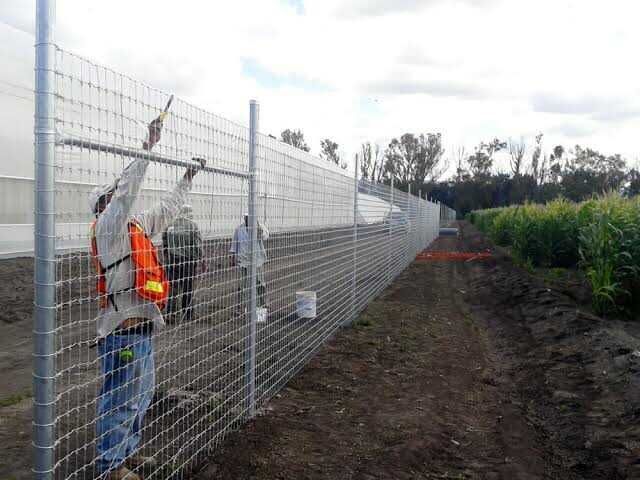 Un hombre está trabajando en una valla en un campo.