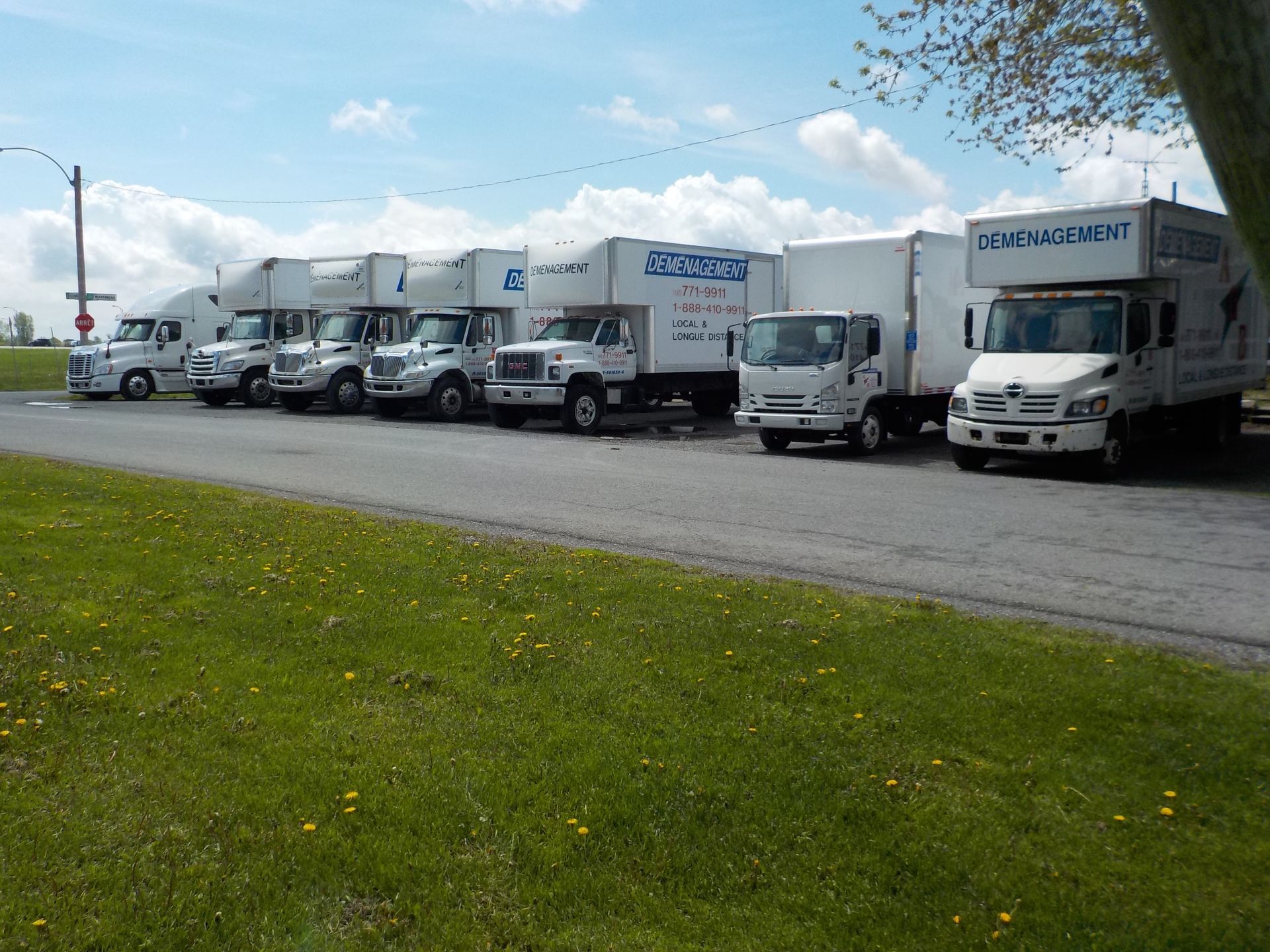 Une rangée de camions de déménagement blancs garés sur un parking goudronné devant un bâtiment, par une journée ensoleillée.