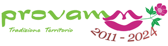 logo provamm footer