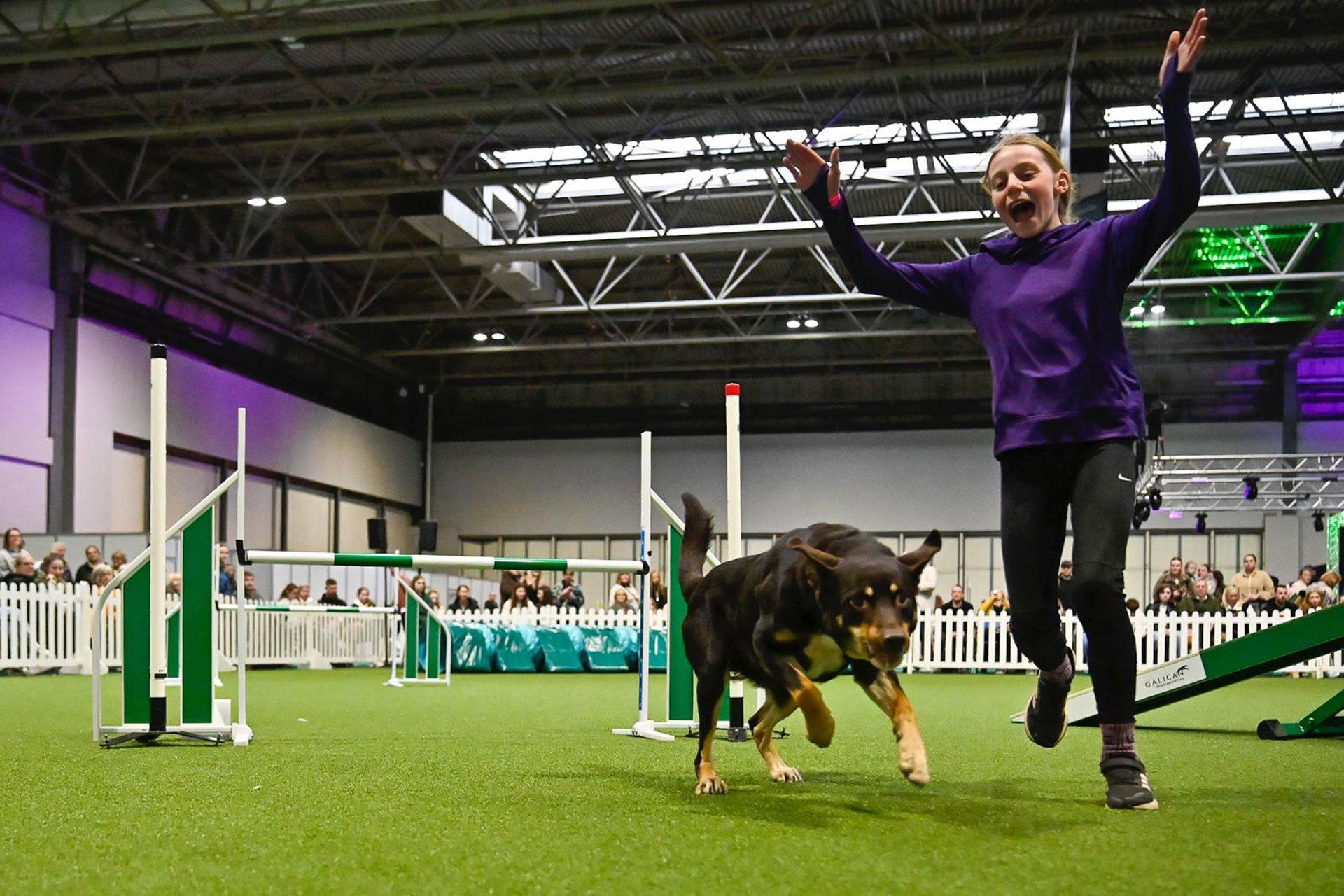 brooke and woody coming over the line at crufts 2026