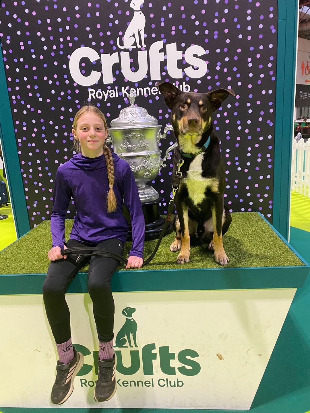 booke and woody sat on the podium at Crufts 2026