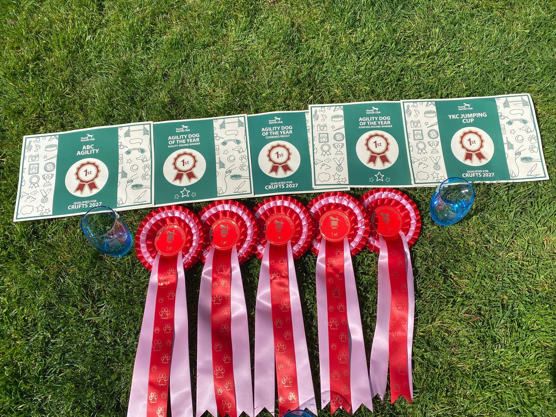 Brooke qualifies for Crufts 2027 rosettes and certificates