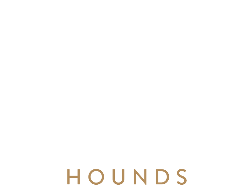hilltop hounds dog walking logo