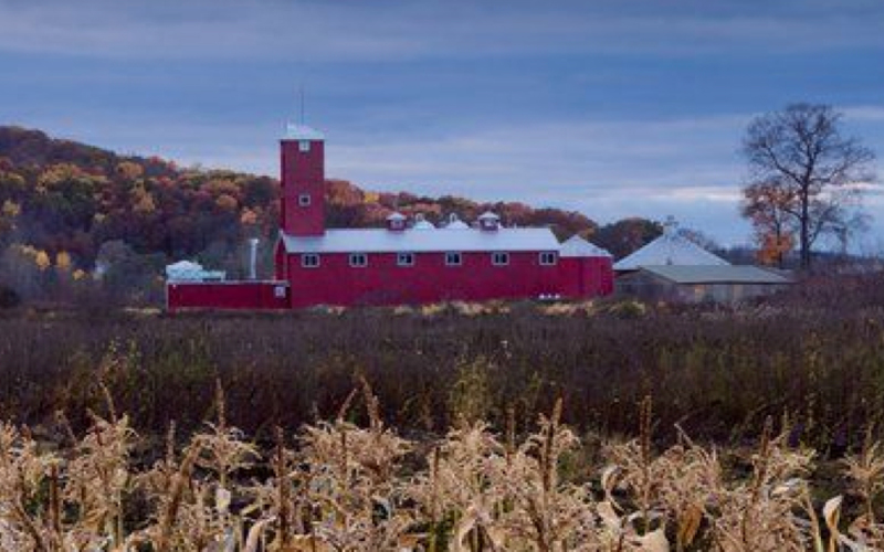 Proximo Spirits | Distillery Expansion Feasibility Study (Black Dirt)