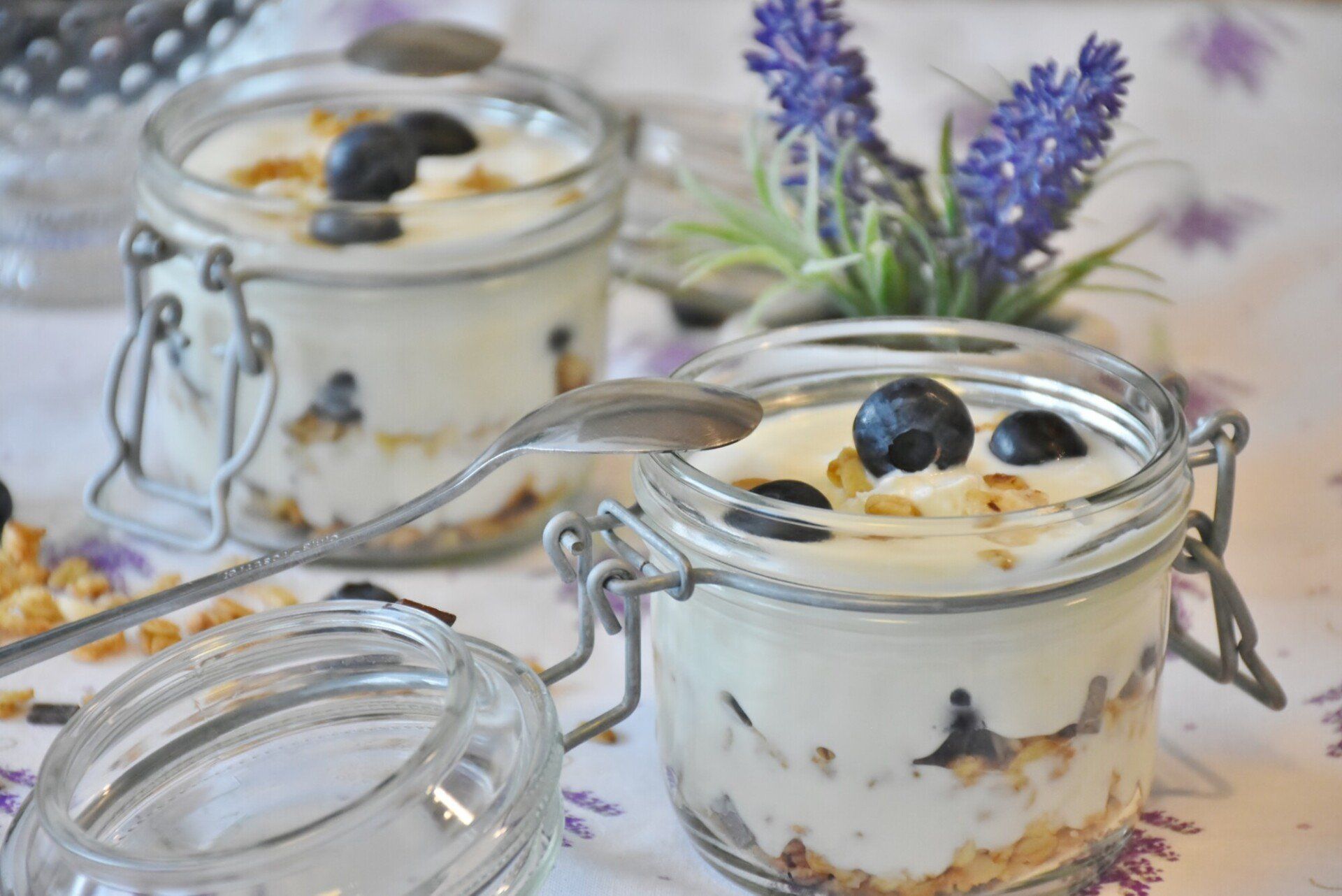 Healthy Vegan Snack - Yogurt with Blueberries