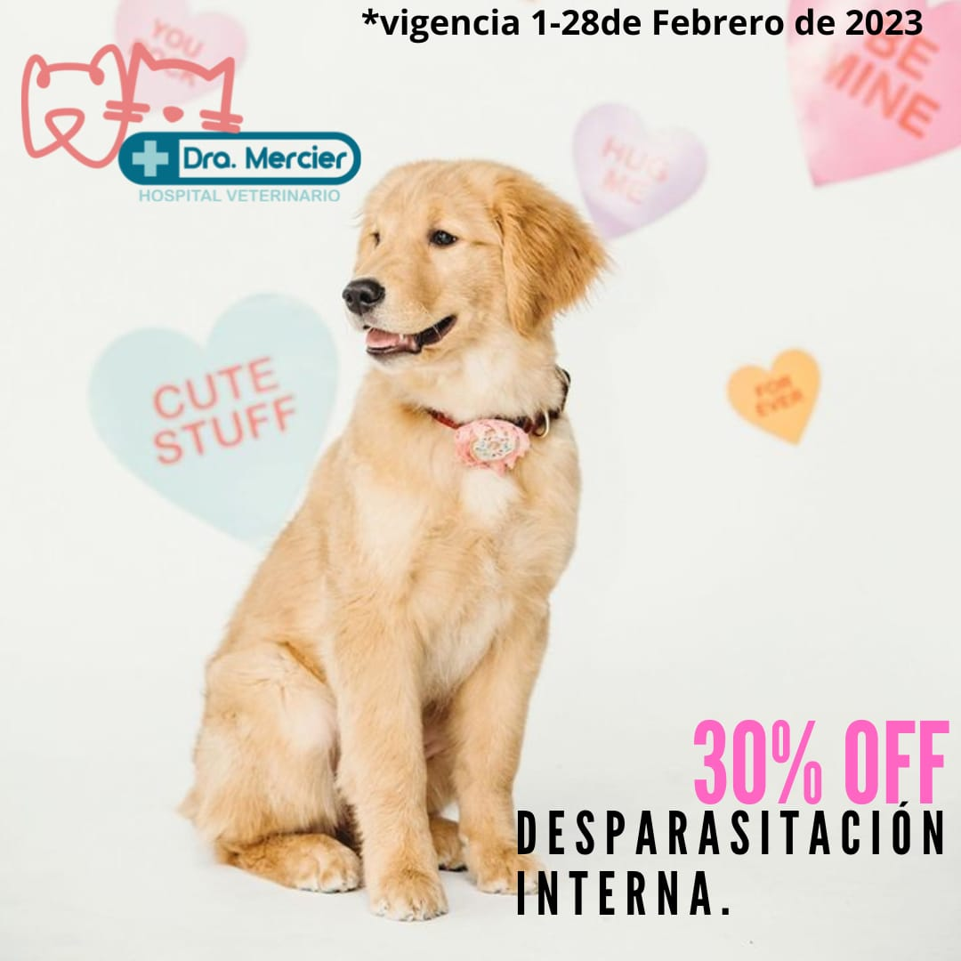 DRA. MERCIER HOSPITAL VETERINARIO - CUPON