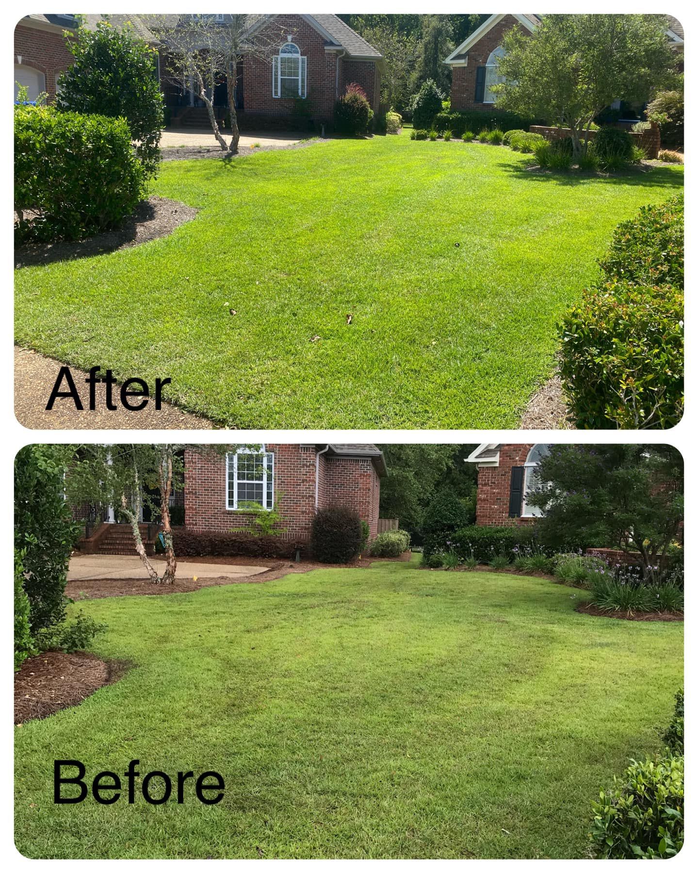 A before and after picture of a lush green lawn.