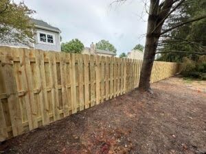 Premium 6โณ Dogear Treated Pine Pickets