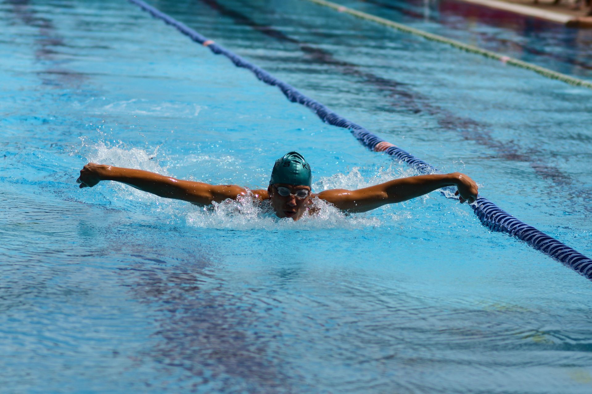 butterfly stroke