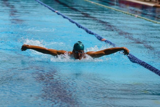 butterfly stroke