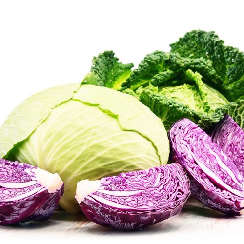 cabbage