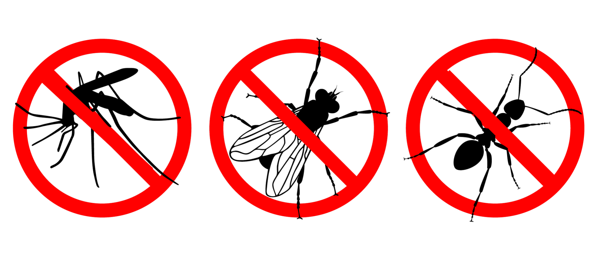 Exterminators — No Insects Signs in Hamilton, NJ