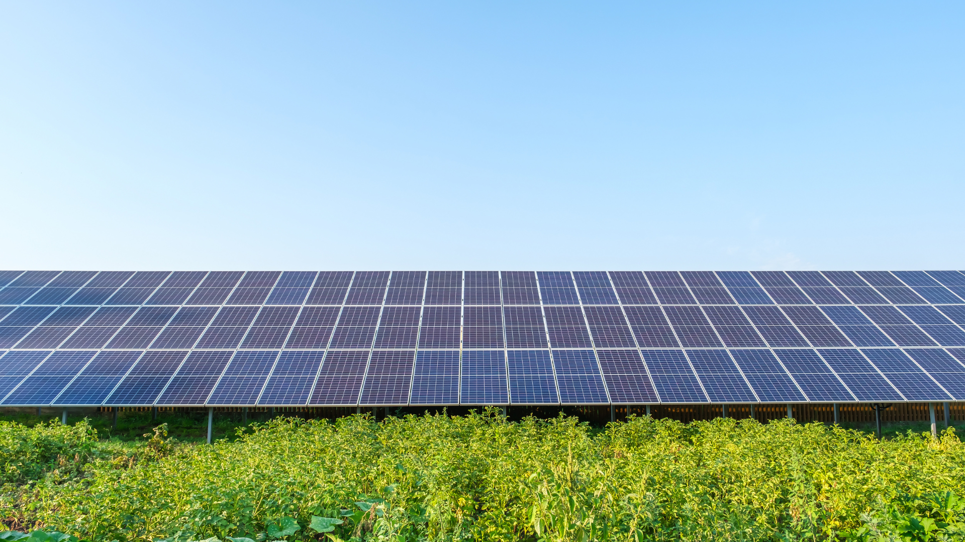 solar crm india
