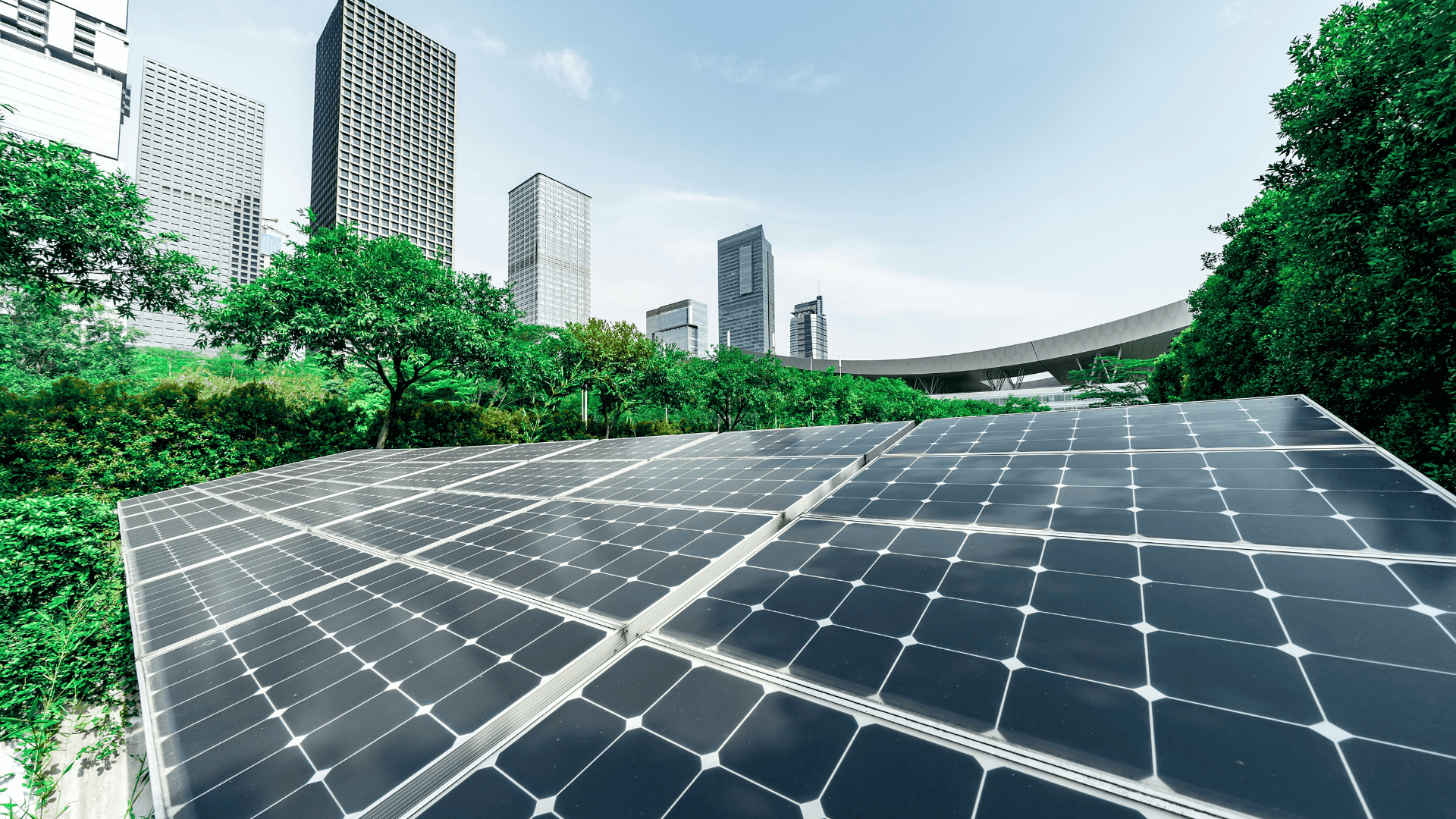 Scaling Solar Business Guide: Build, Expand & Exit for Best Value