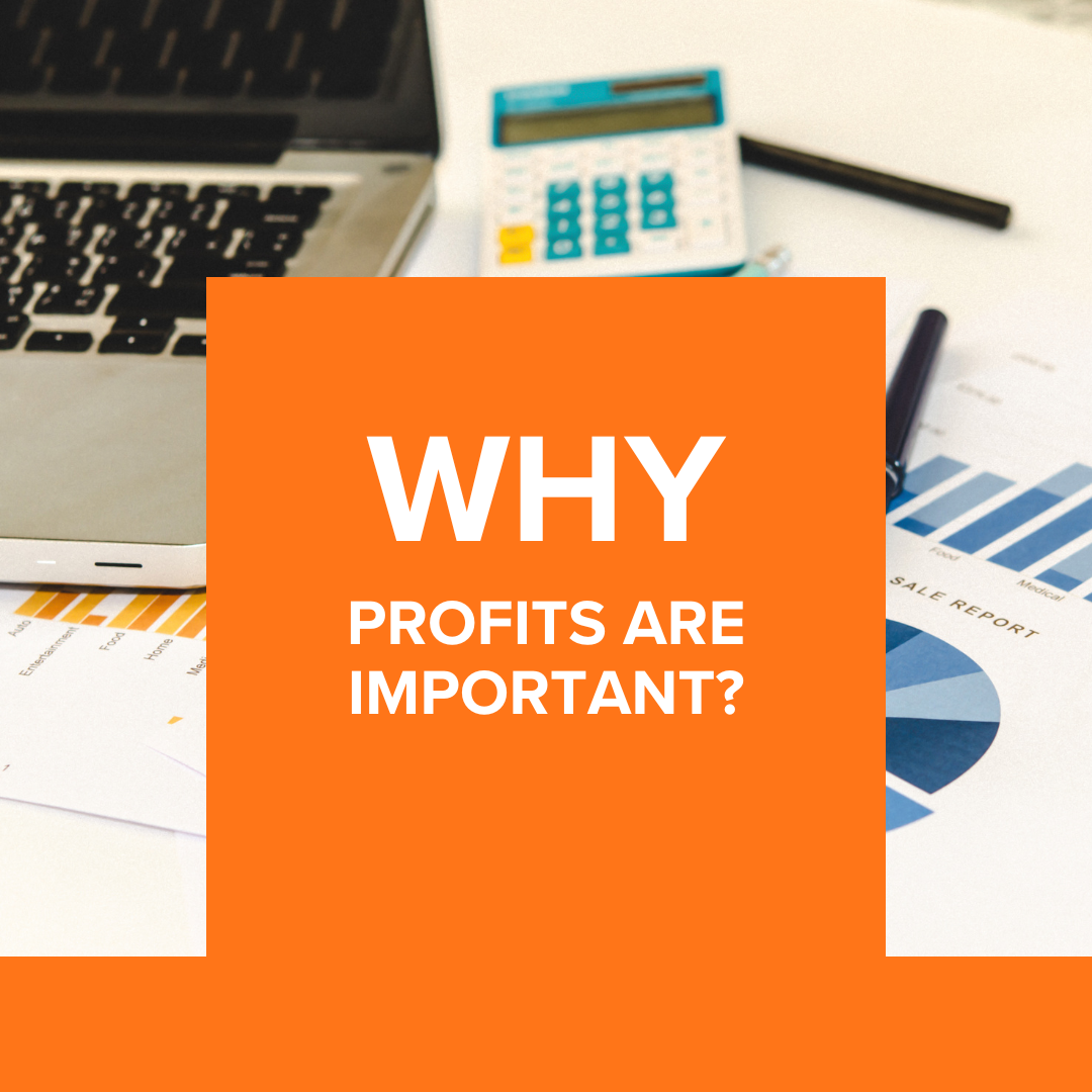 Why are Profits Important?