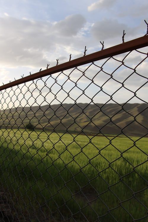 5 Affordable Fencing Materials Fencing Project Guide 5 Affordable Fencing Materials Fencing Project Guide