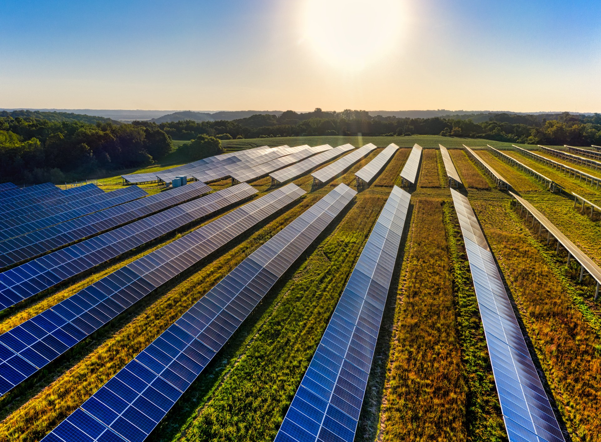 Solar Farming 