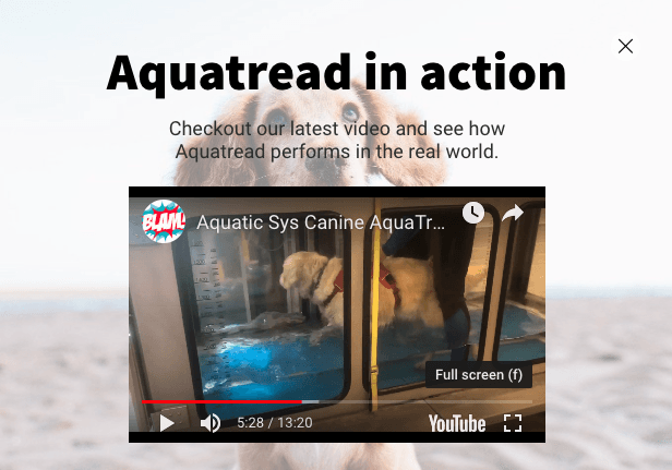 A dog is swimming in an aquatread in action video